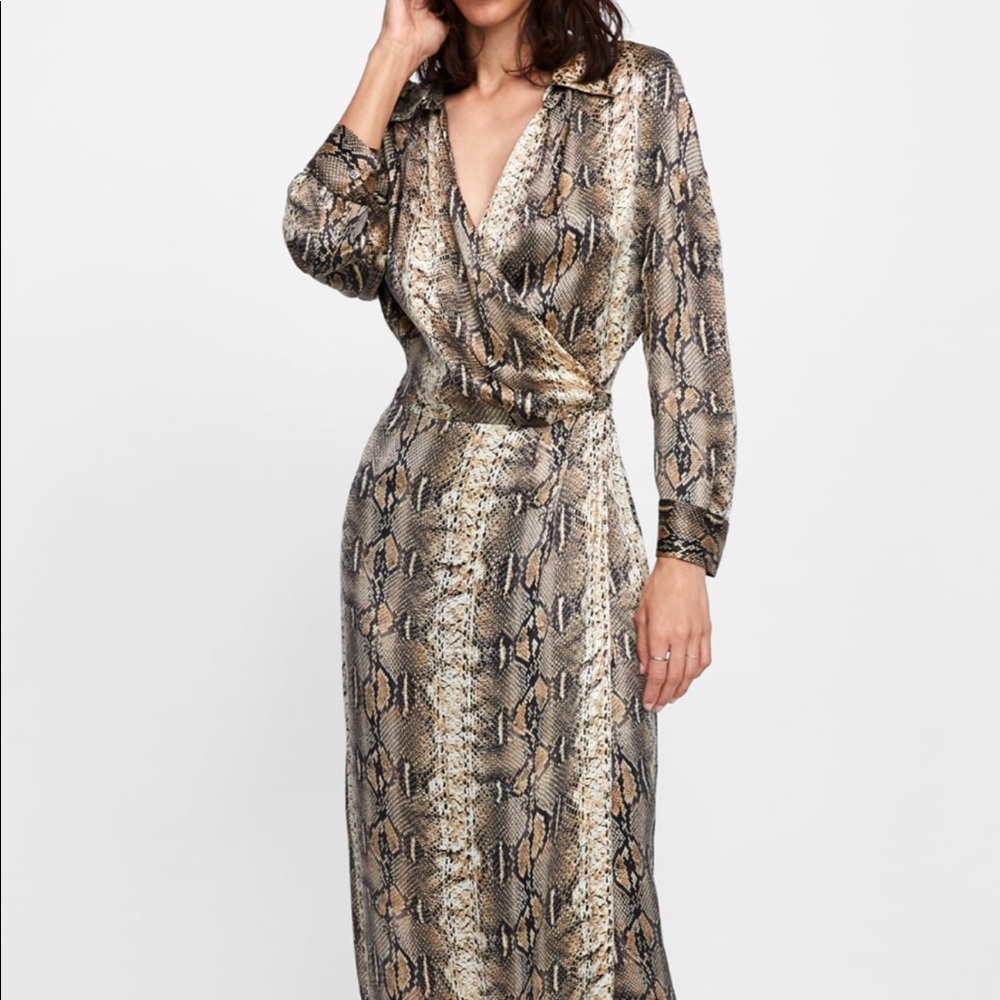Zara Snakeprint Shirt Dress